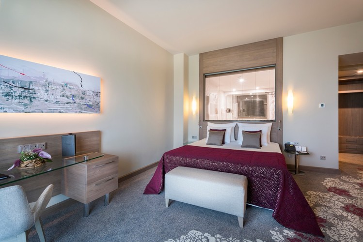 Executive Suite Room