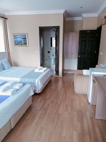 Deluxe Large Business Room (3 Person)