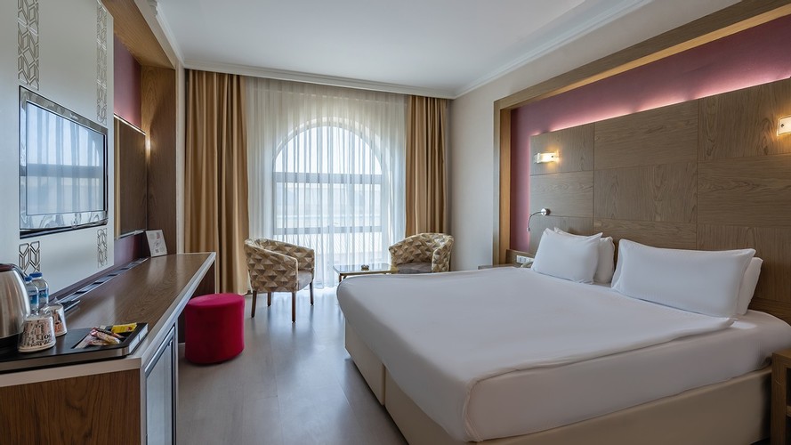 Standard Room (Without Balcony)