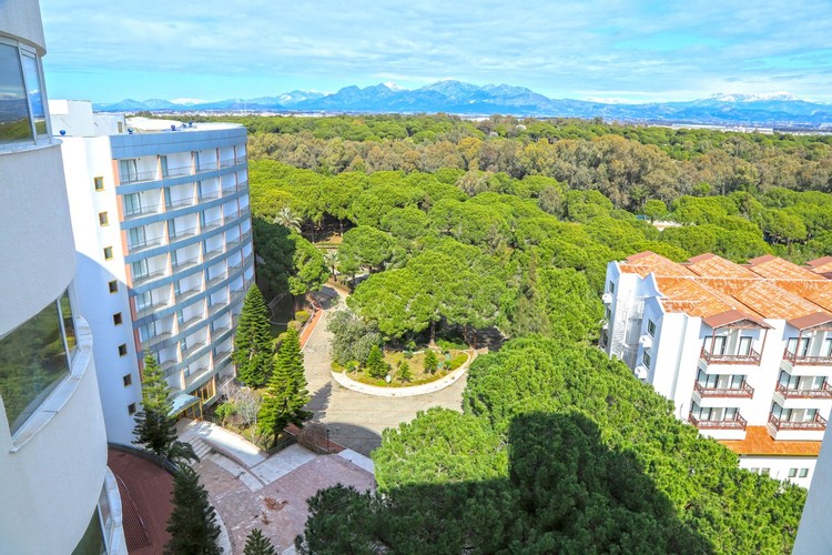 Aile Odası, Orman Manzaralı