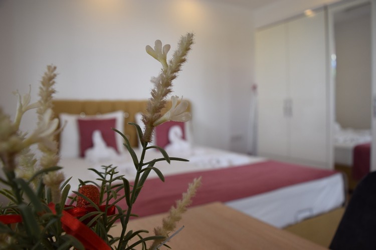 Studio Oda, Bahçe Manzaralı