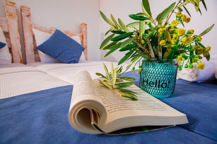 Standart Oda, Bahçe Manzaralı