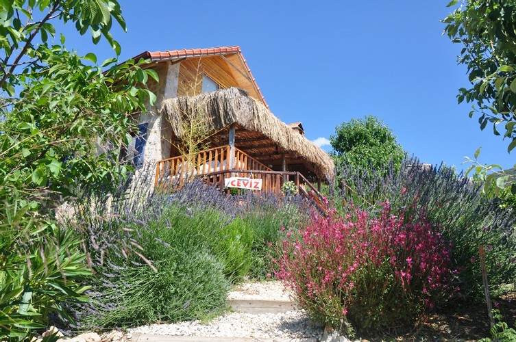 AMBAR EVLERİ, CEVİZ EV