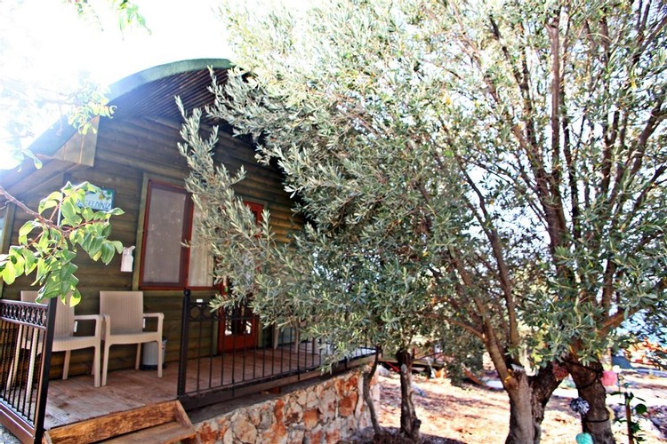 Deluxe Bungalow Room