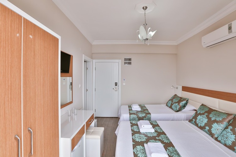 Standard Room, Land View (3 Person)