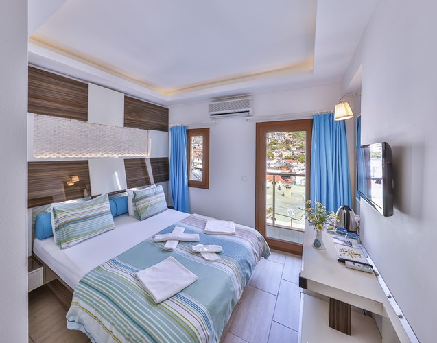 Standard Room, Mountain View