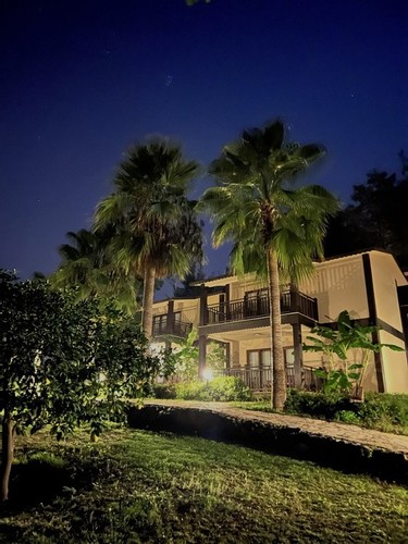 Superior Oda, Orman Manzaralı (Balkonlu)