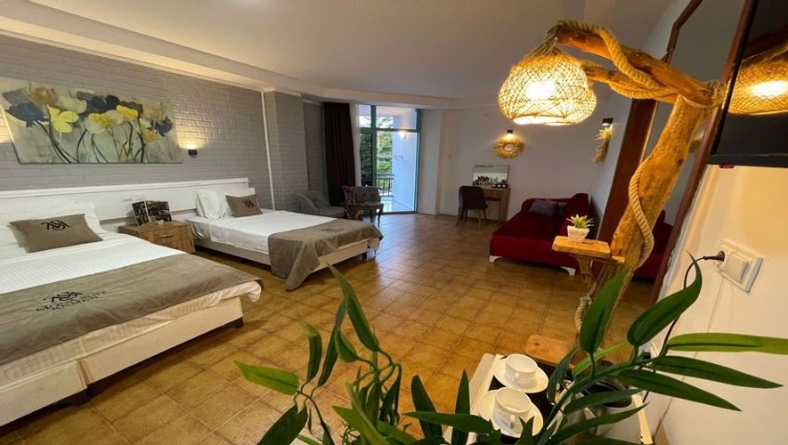 Suite 1+1 Apartment Room