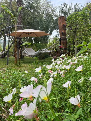 Çift Kişilik Bungalov