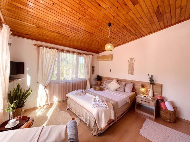 Family Room (3 Person, Terrace)