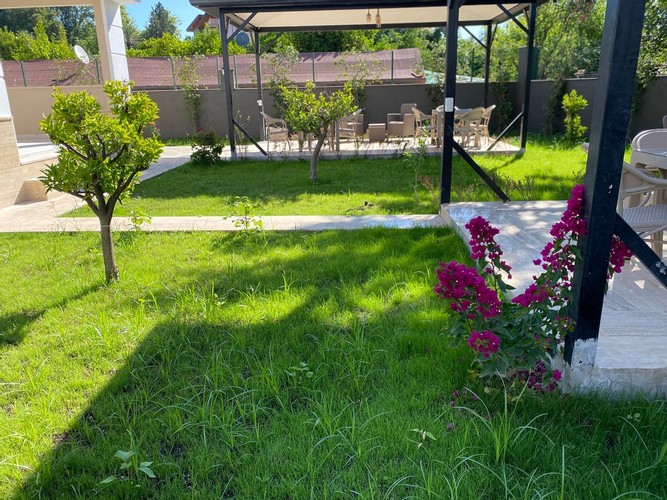 Apartment Luxury Flat Room