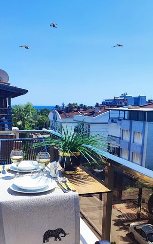 Terrace Room (Terrace)