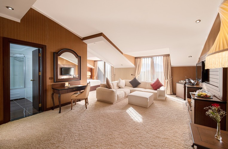 Teras Suit Oda, Şehir Manzaralı (Teraslı)