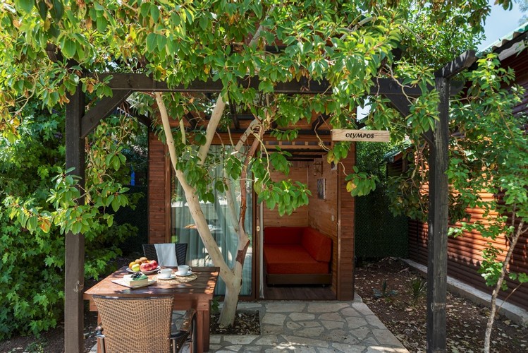 Deluxe Room, Mountain View