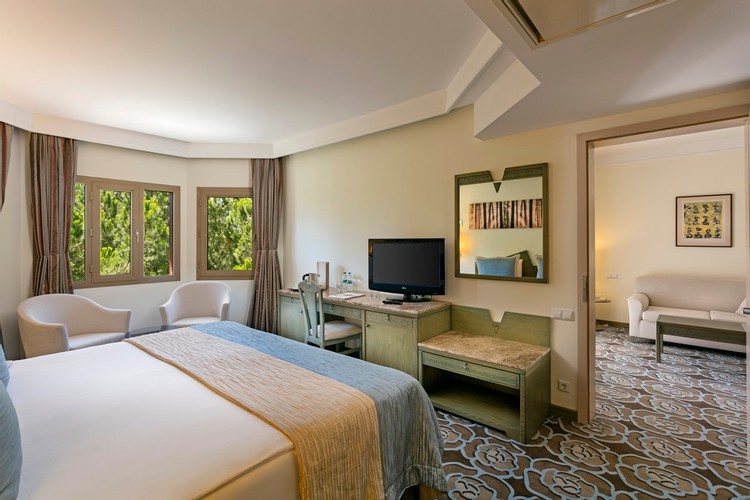 Junior Suite Main Building Room, Garden View