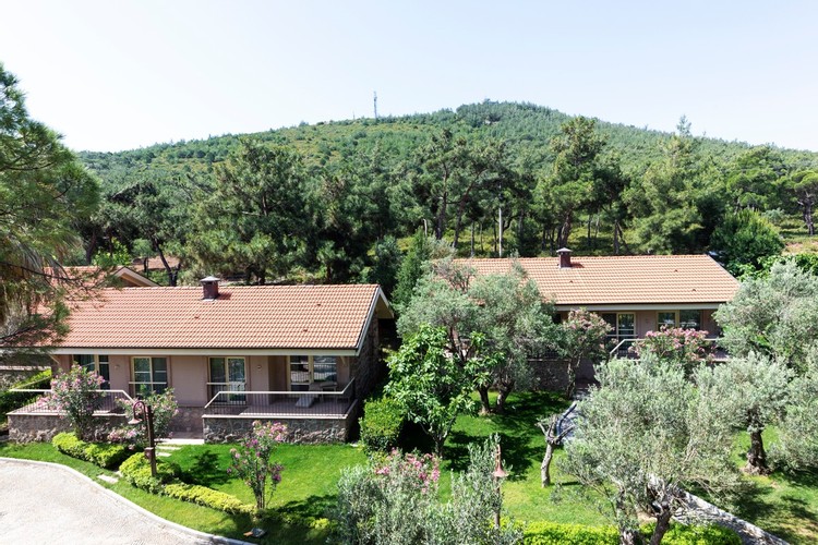 Superior Oda, Orman Manzaralı