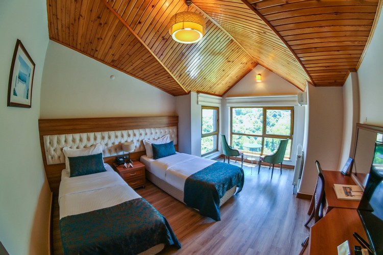 Standart Oda, Dağ Manzaralı