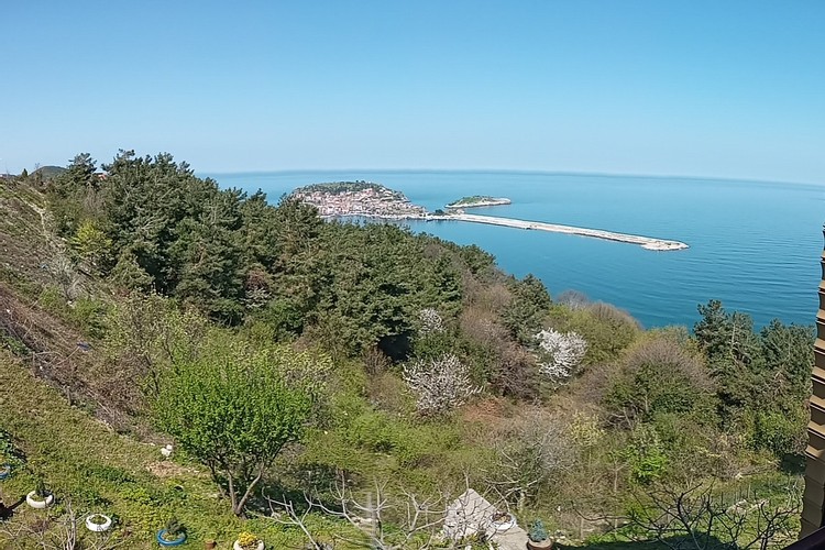 Standart Oda, Bahçe Manzaralı