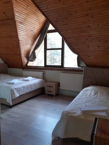 Standard Room, Forest View