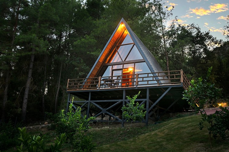 Triangular Cedar House