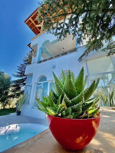 Mountain House, Mountain View