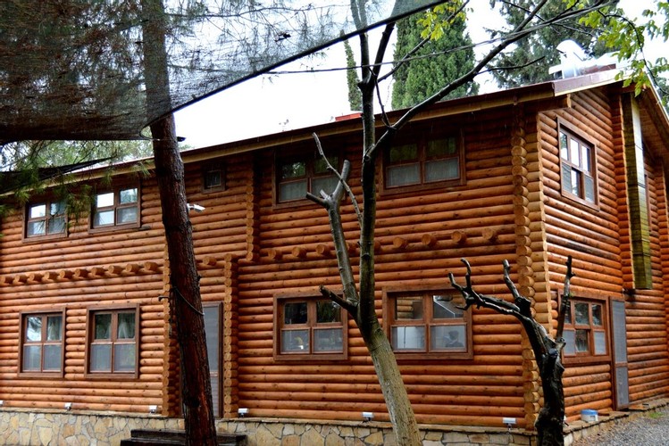 Apartment Roof Penthouse Flat Room