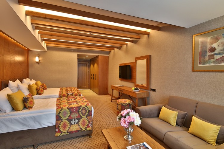 Superior Room (3 Person)