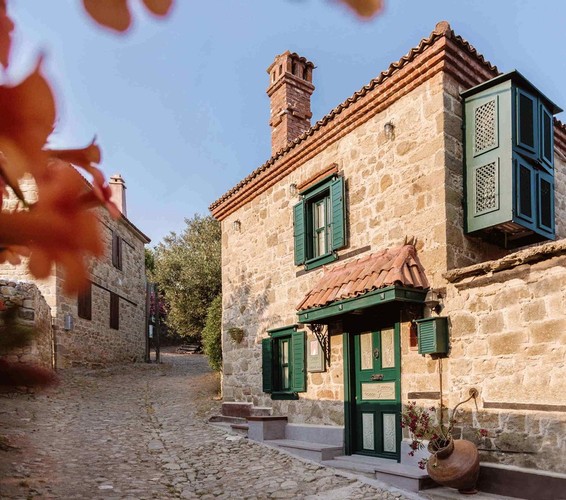 Orion Adatepe - Bellatrix