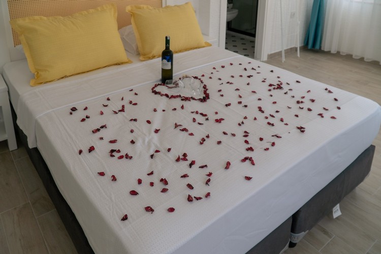 Deluxe Oda, Bahçe Manzaralı