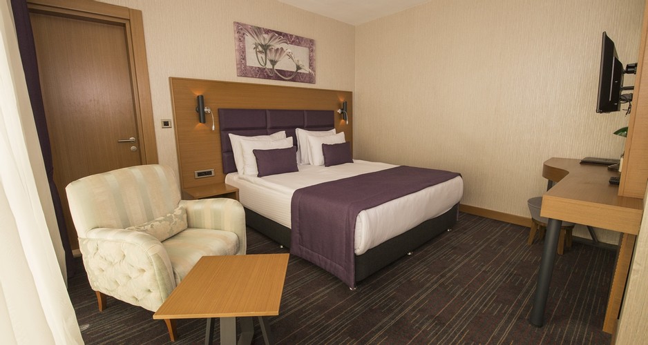 Standard Room (1 Person)