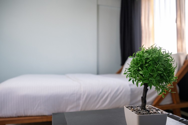 Standard Room (Sofa)