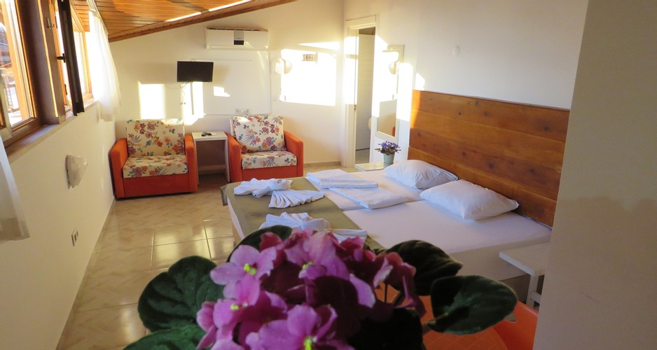 Studio Roof Penthouse Room