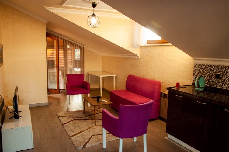 Family Room (3 Person, Terrace)