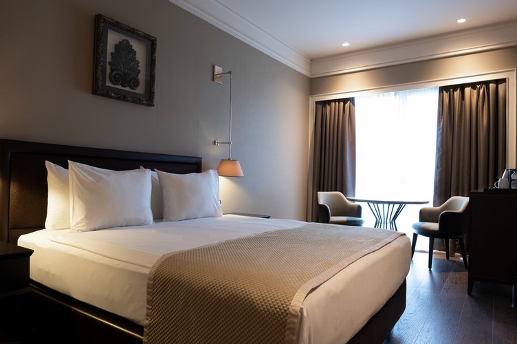 Executive French Oda, Şehir Manzaralı (Balkonsuz)