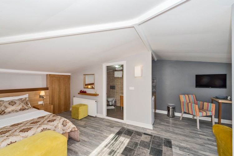 Studio Room (Terrace)