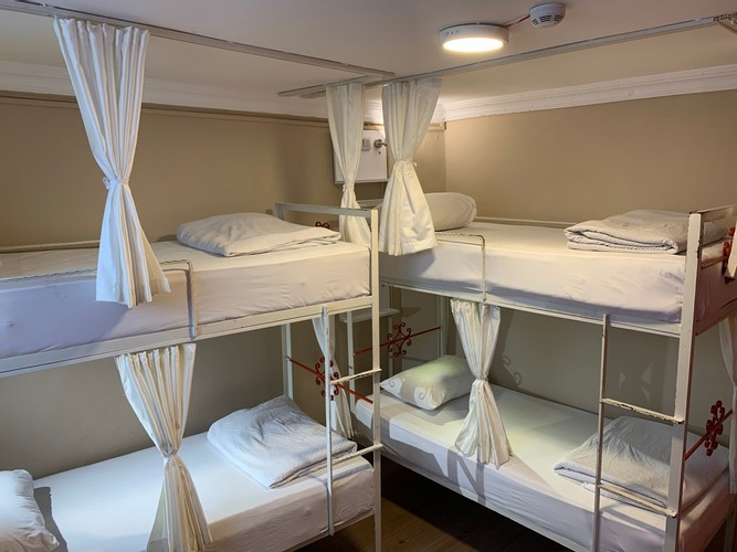Bunk Bed Room (Mixed Dormitory)