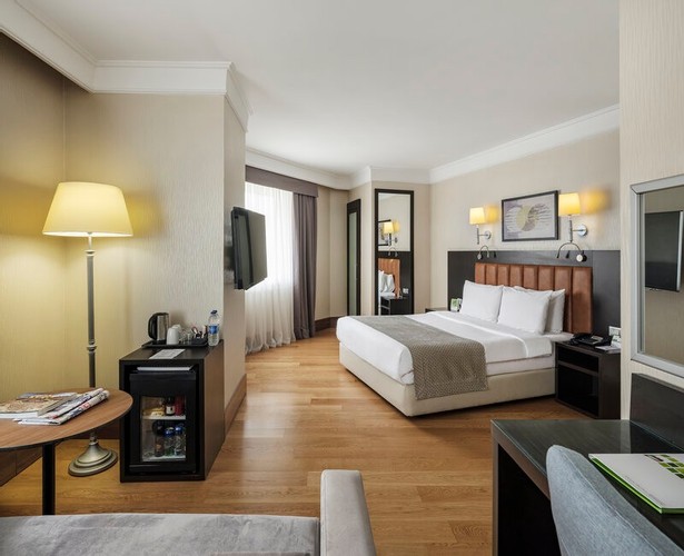 Executive Room (Sofa, No Smoking)