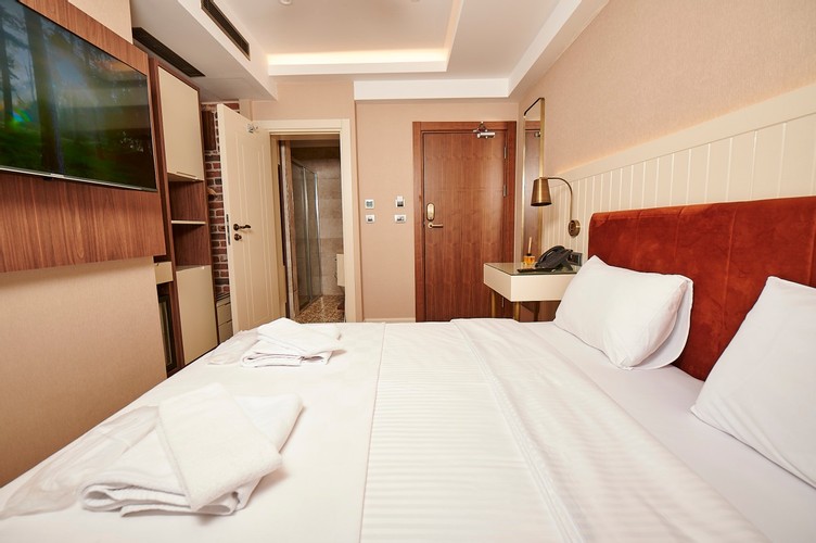 Deluxe Room, Garden View