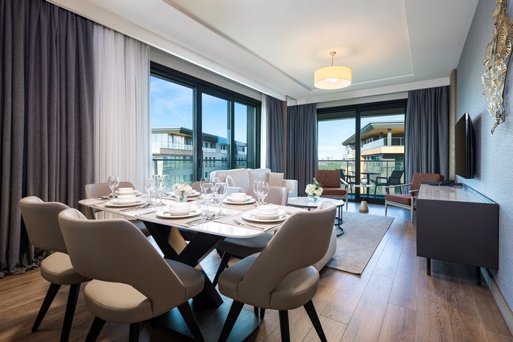 Deluxe Apartment Flat Room