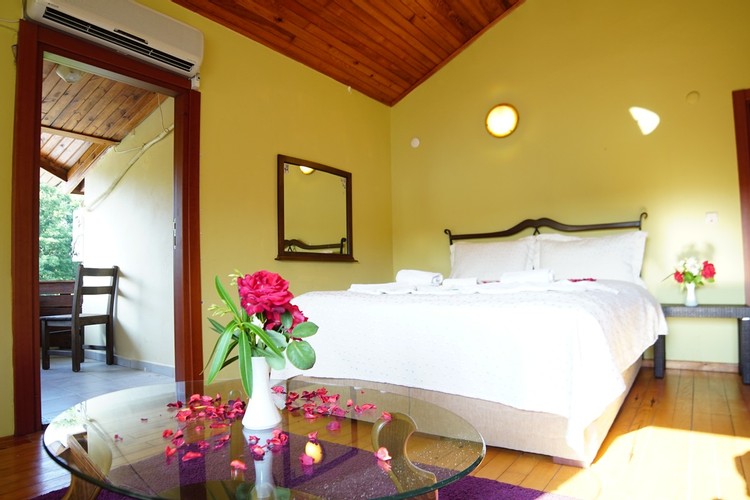 Balkonlu Oda, Havuz Manzaralı (Balkonlu)