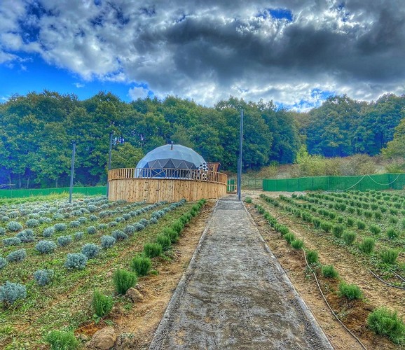 Glamping Dome