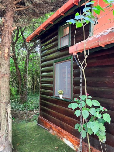 Aile Bungalov Odası