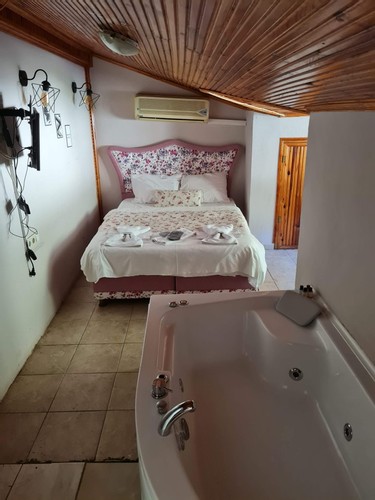 Roof Penthouse Room, River View (Jacuzzi)