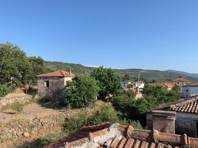 Adahan Pansiyon Kaktüs Room