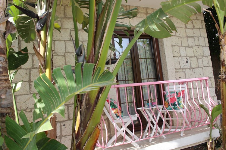 Standart Oda, Havuz Manzaralı