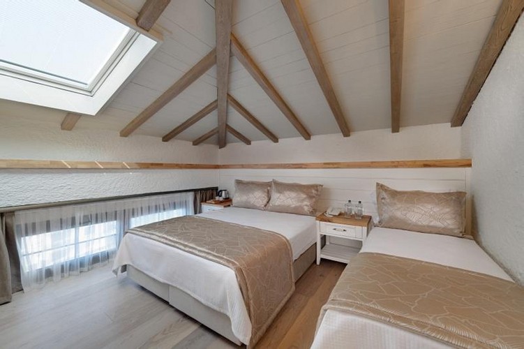 Deluxe Roof Penthouse Room, Viewless