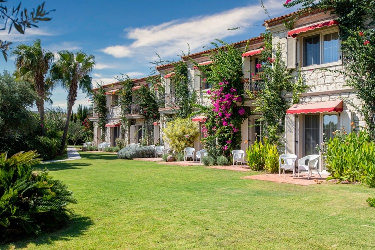 Deluxe Terrace Room (Terrace)