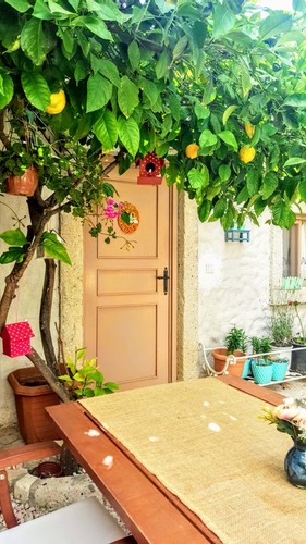 Standard Room, Garden View