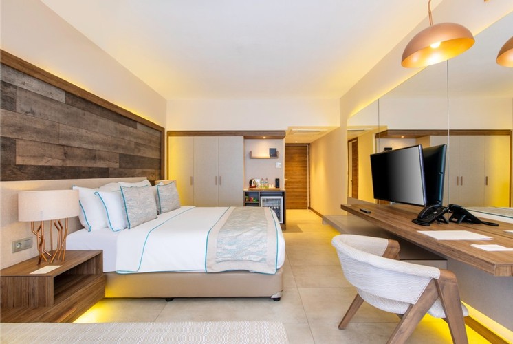 Superior Tek Kişilik Oda, Bahçe Manzaralı (1 Kişilik)