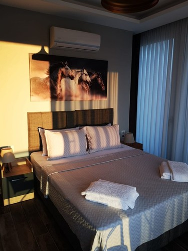 Suite 1+0 Apartment Room